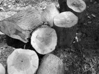 Gestapeld Logs