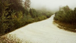A estrada na floresta