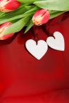 Dos corazones y tulipanes
