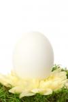 Huevo de Pascua blanca