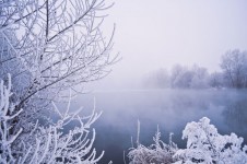 Winter-Nebel
