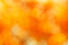 Yellow Blurred Background Free Stock Photo - Public Domain Pictures