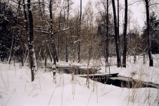 Inverno foto perto de Lublin