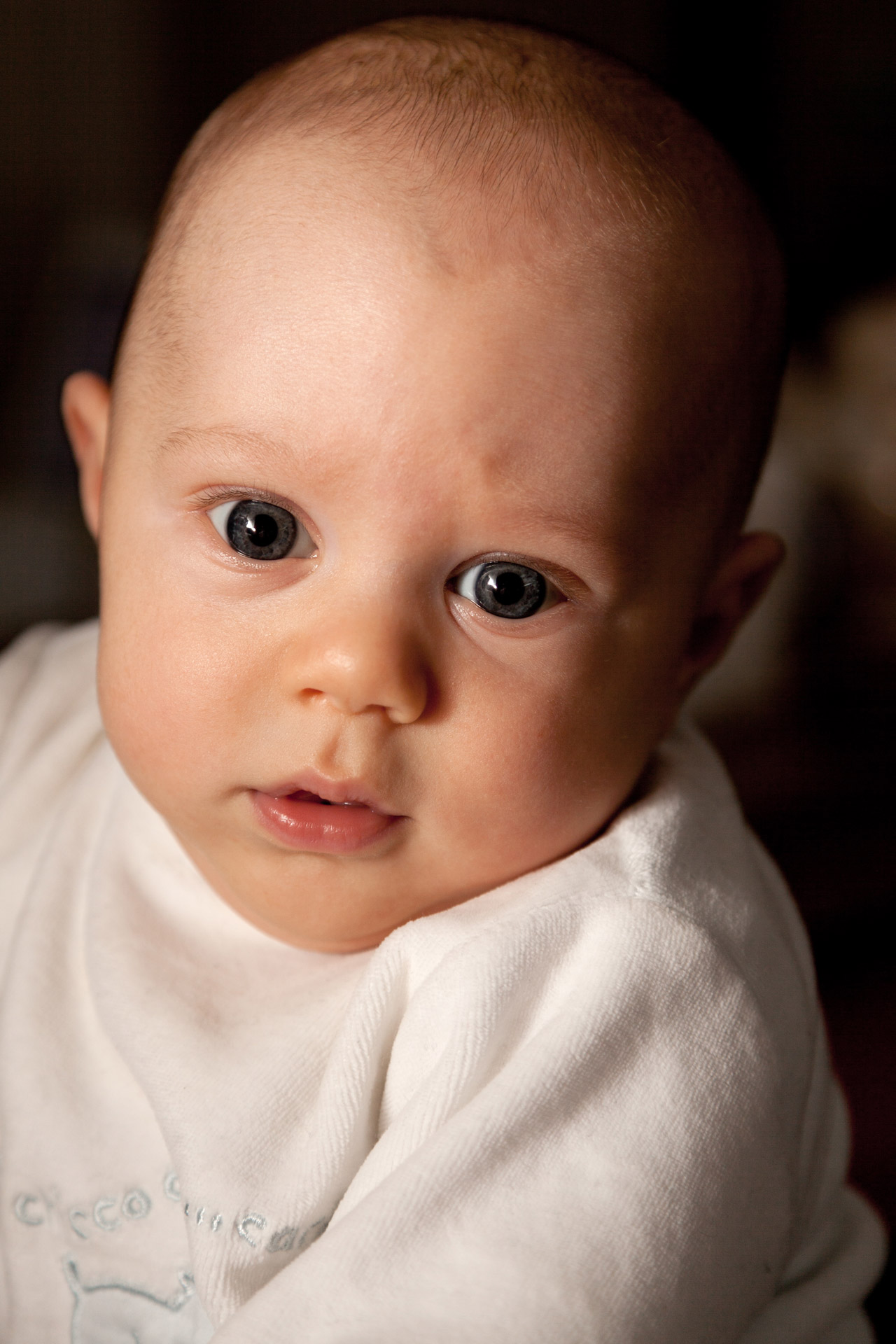 Baby Portrait Free Stock Photo - Public Domain Pictures