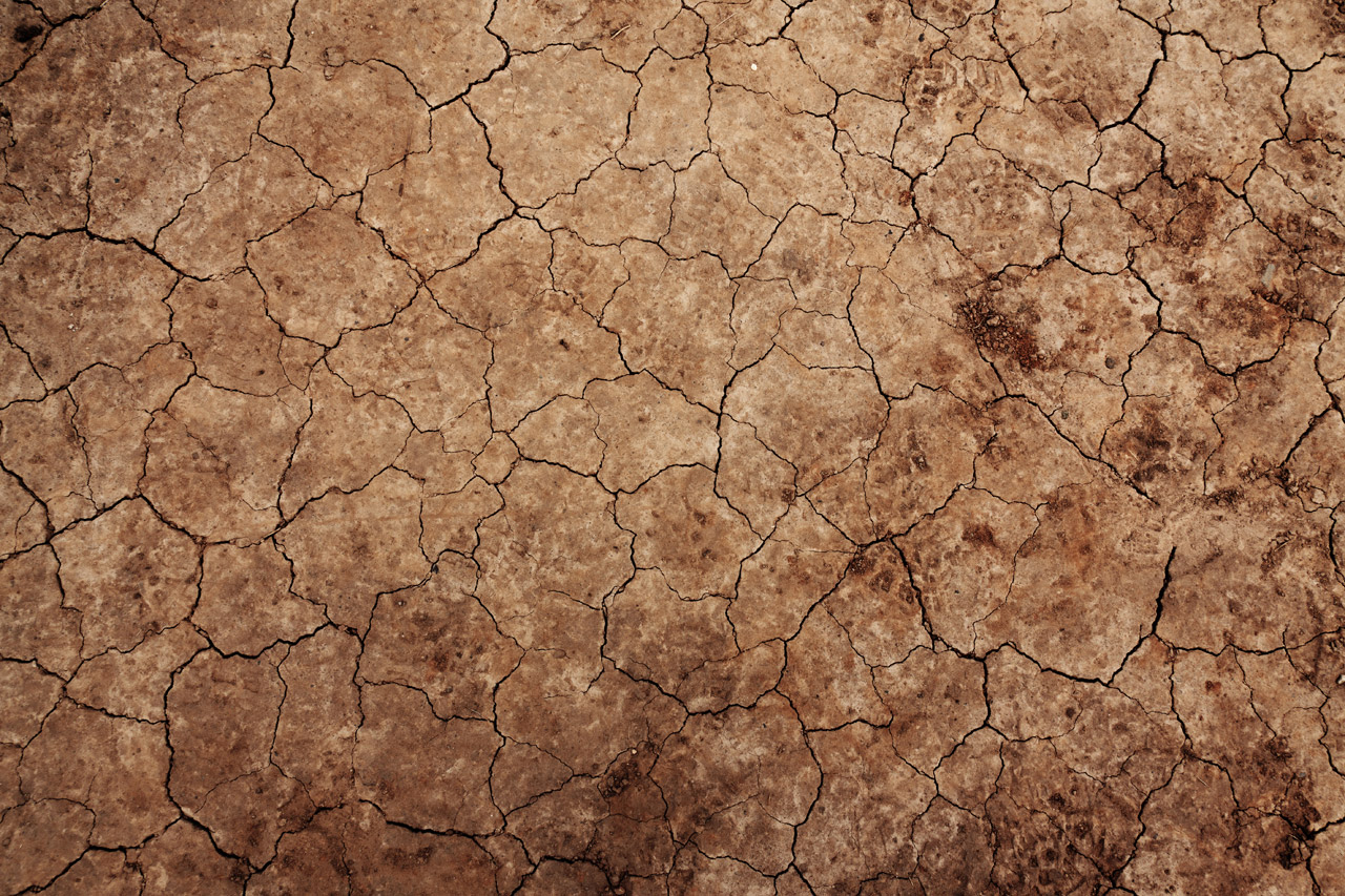 Cracked Earth Texture