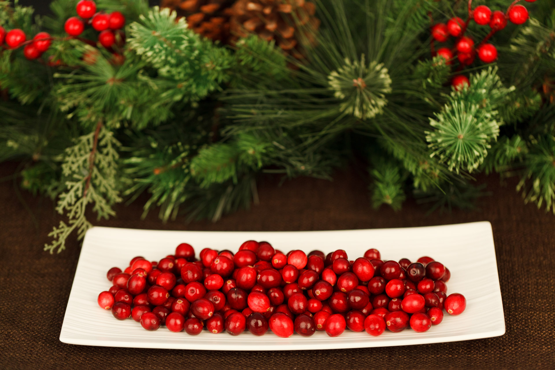 Cranberries On A Plate Free Stock Photo - Public Domain Pictures