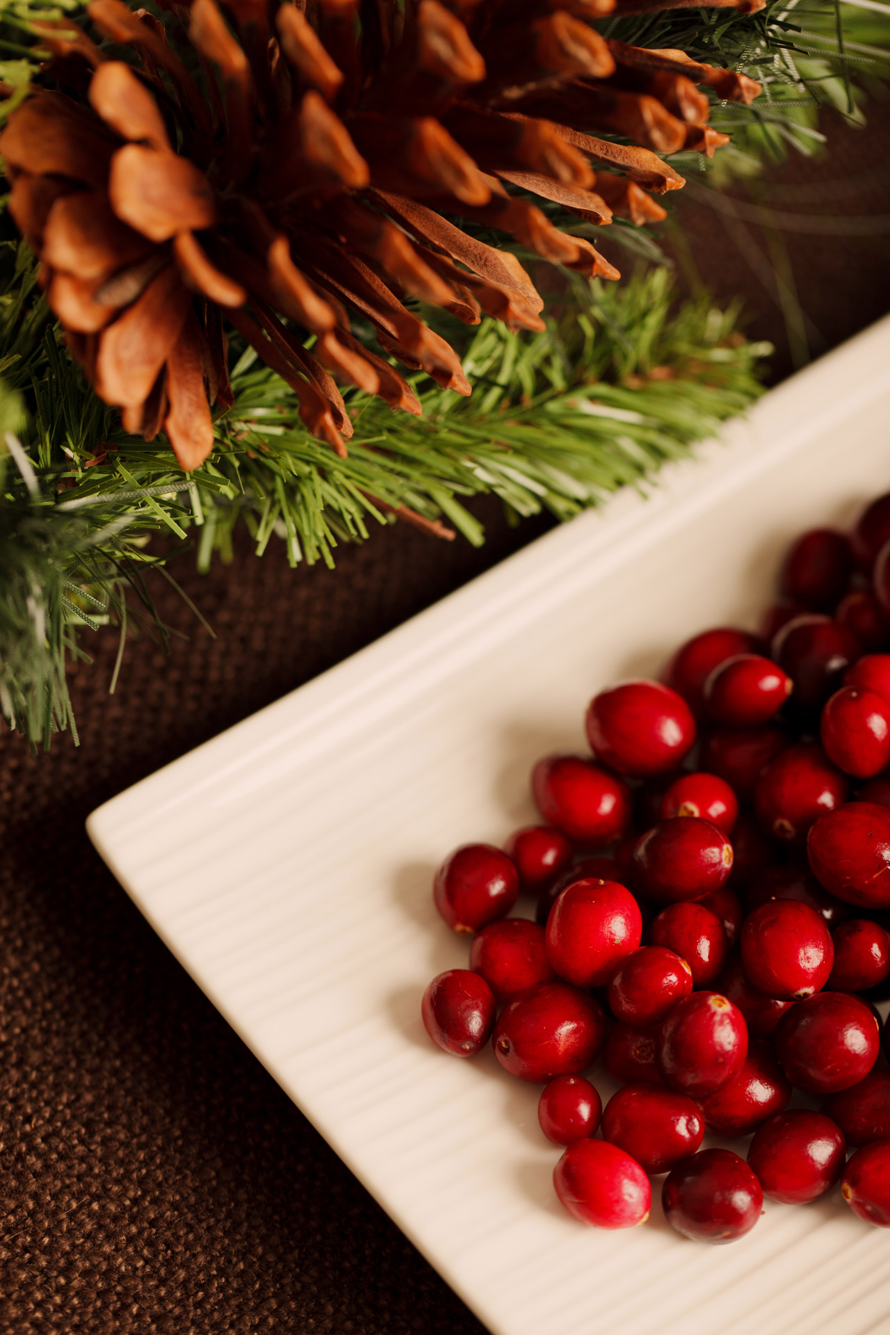 Cranberries With Decorations Free Stock Photo - Public Domain Pictures