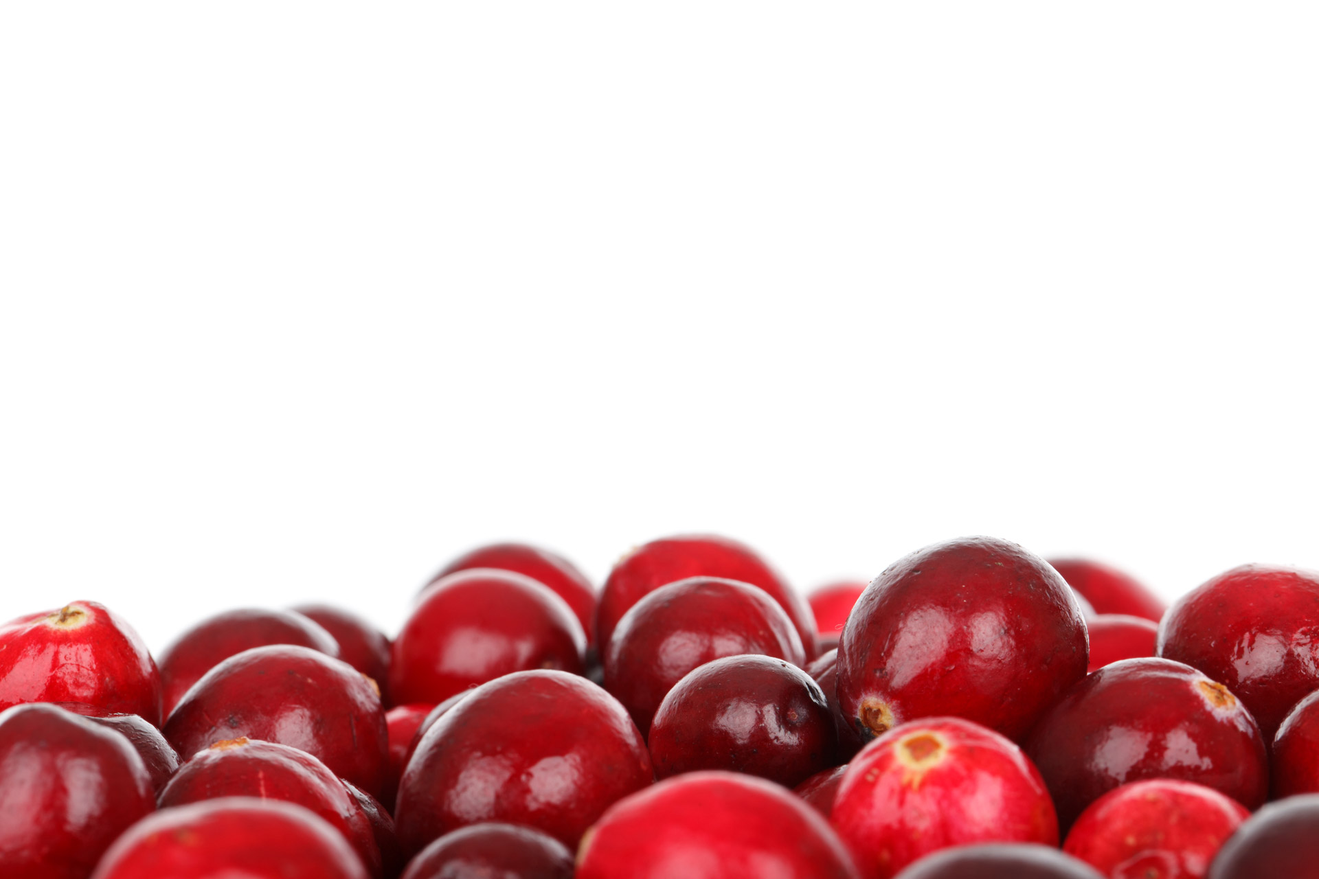 Risultati immagini per cranberry