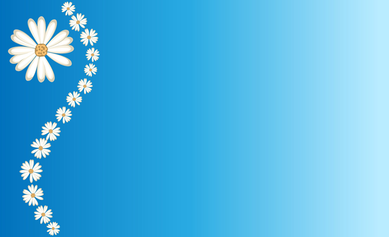 Daisies On Blue Background