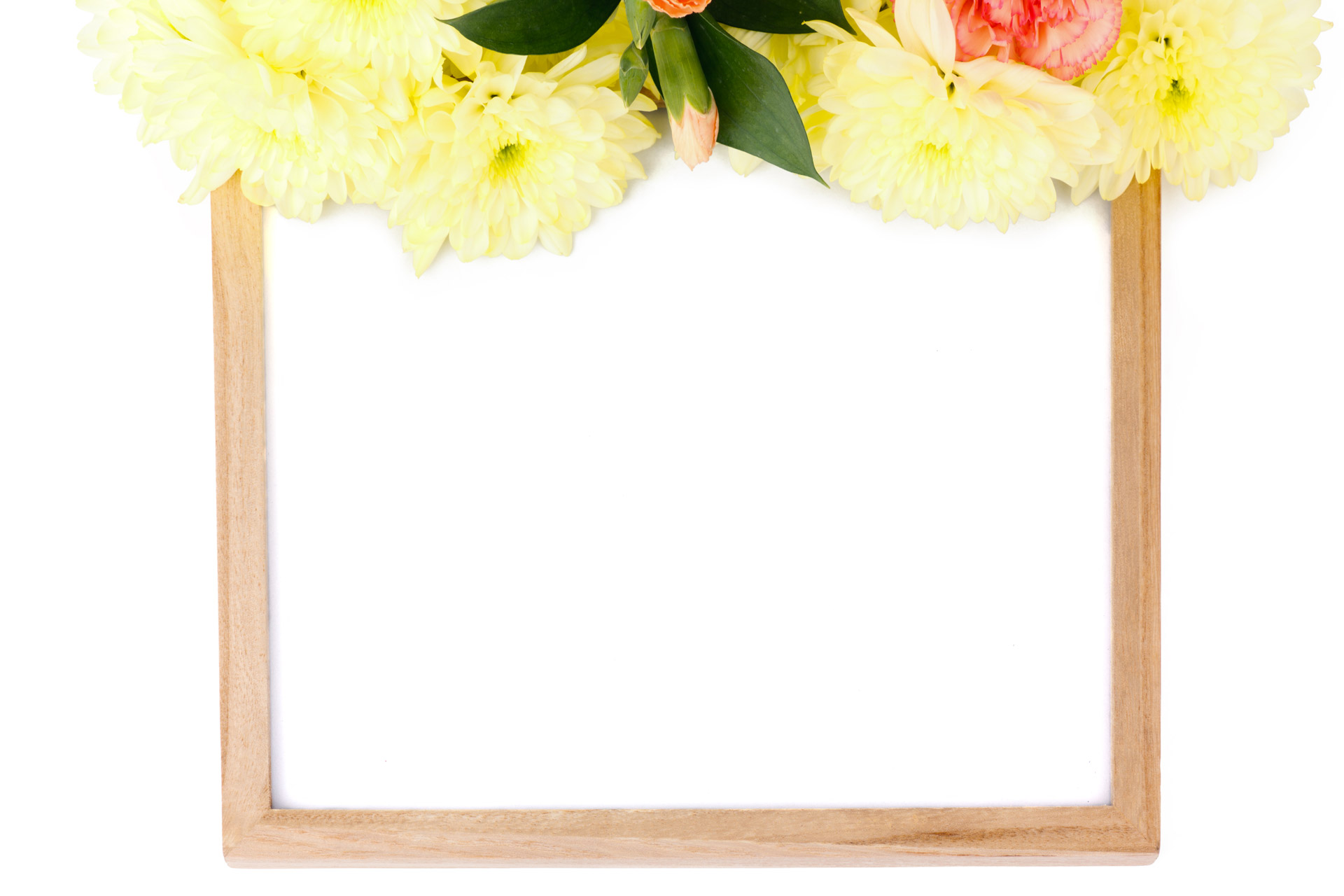 Flower Frame Free Stock Photo Public Domain Pictures