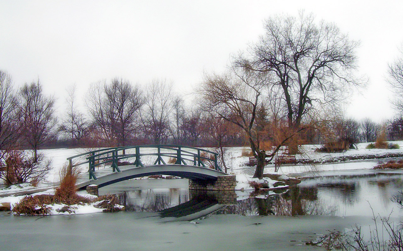 Most Monet w Park Snow
