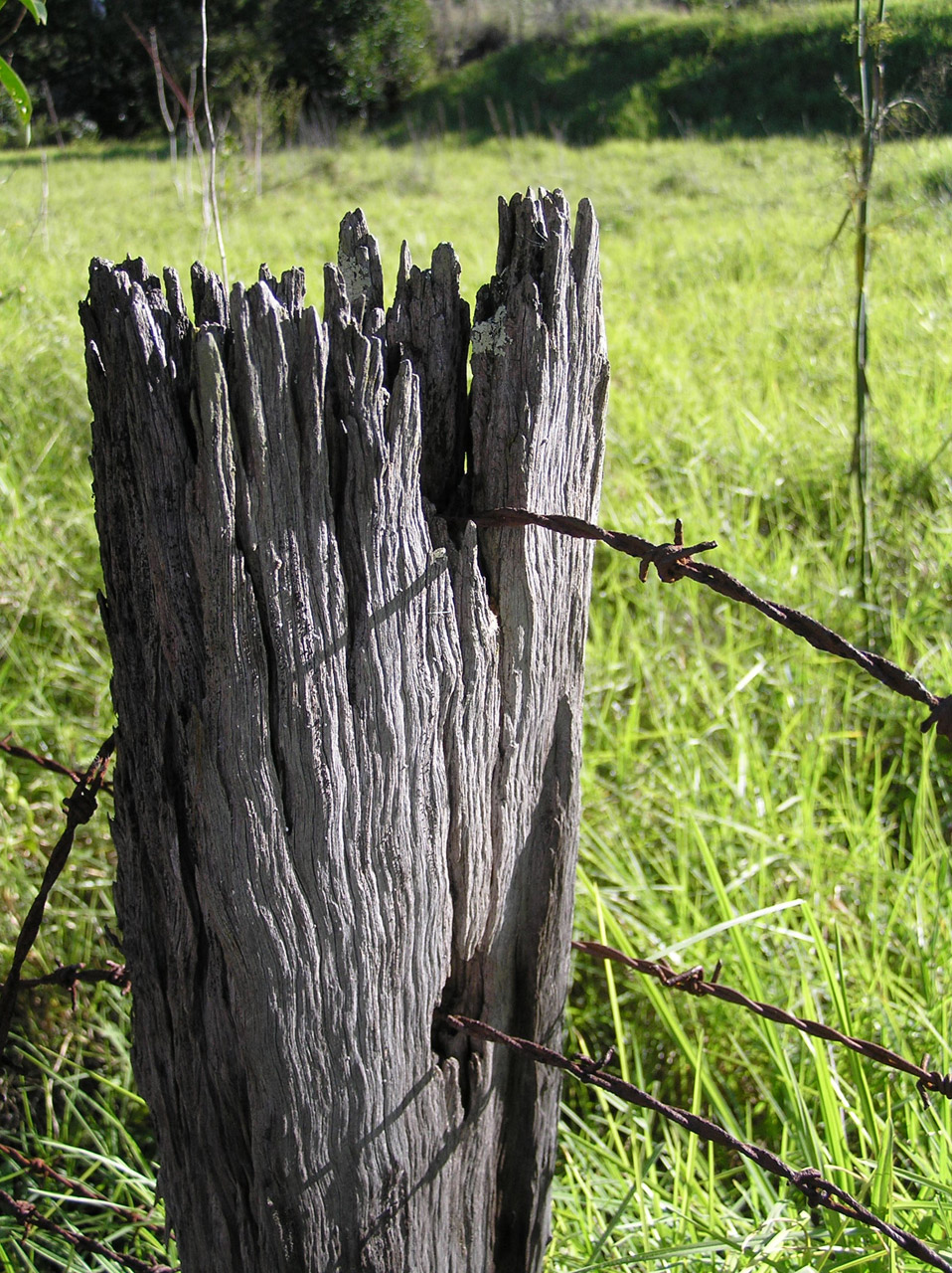 Old Fence Post Free Stock Photo - Public Domain Pictures
