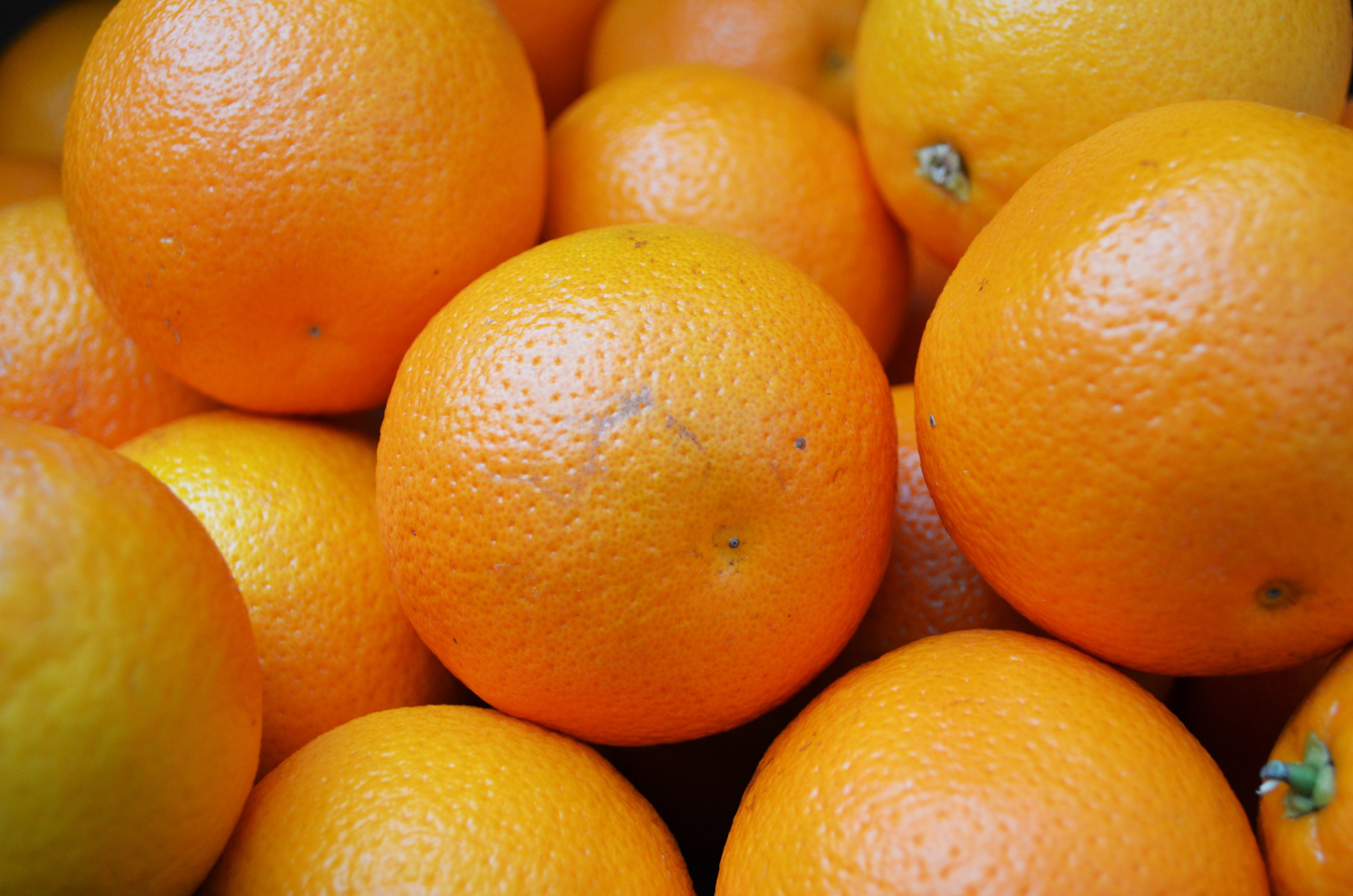 Orange Oranges Free Stock Photo - Public Domain Pictures