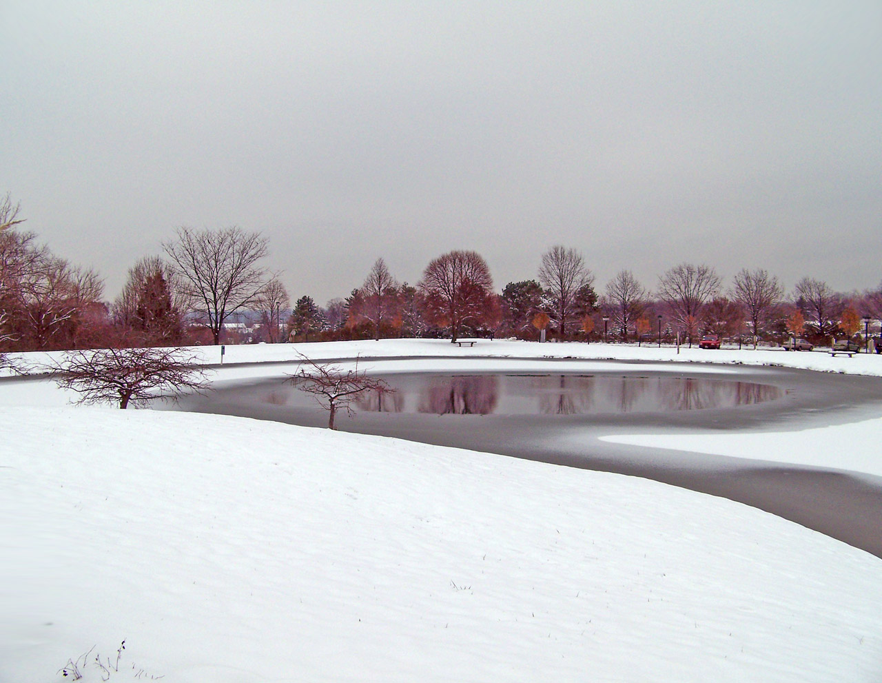 Delvis Frozen Pond