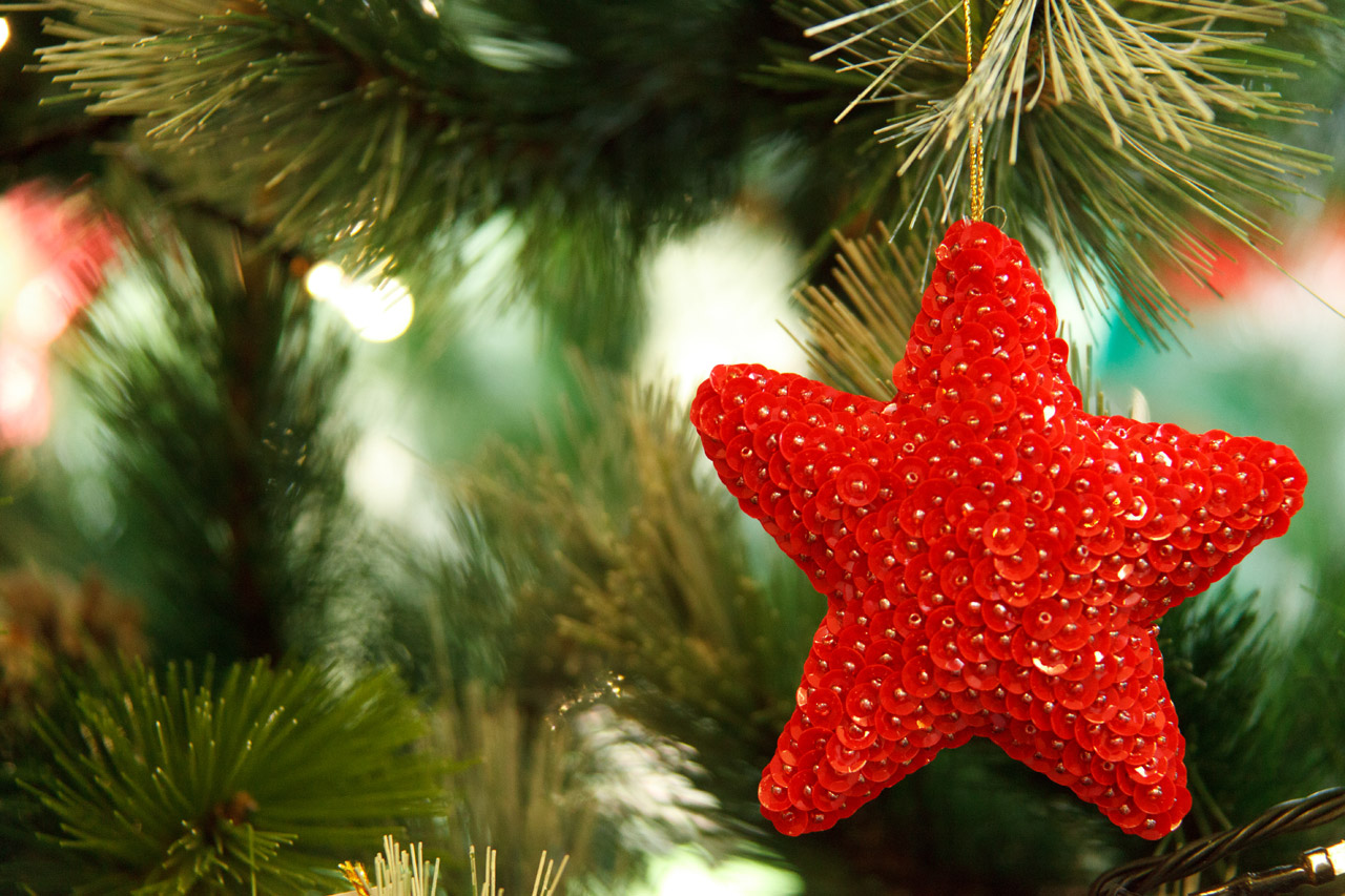 Red Star Decoration Free Stock Photo - Public Domain Pictures