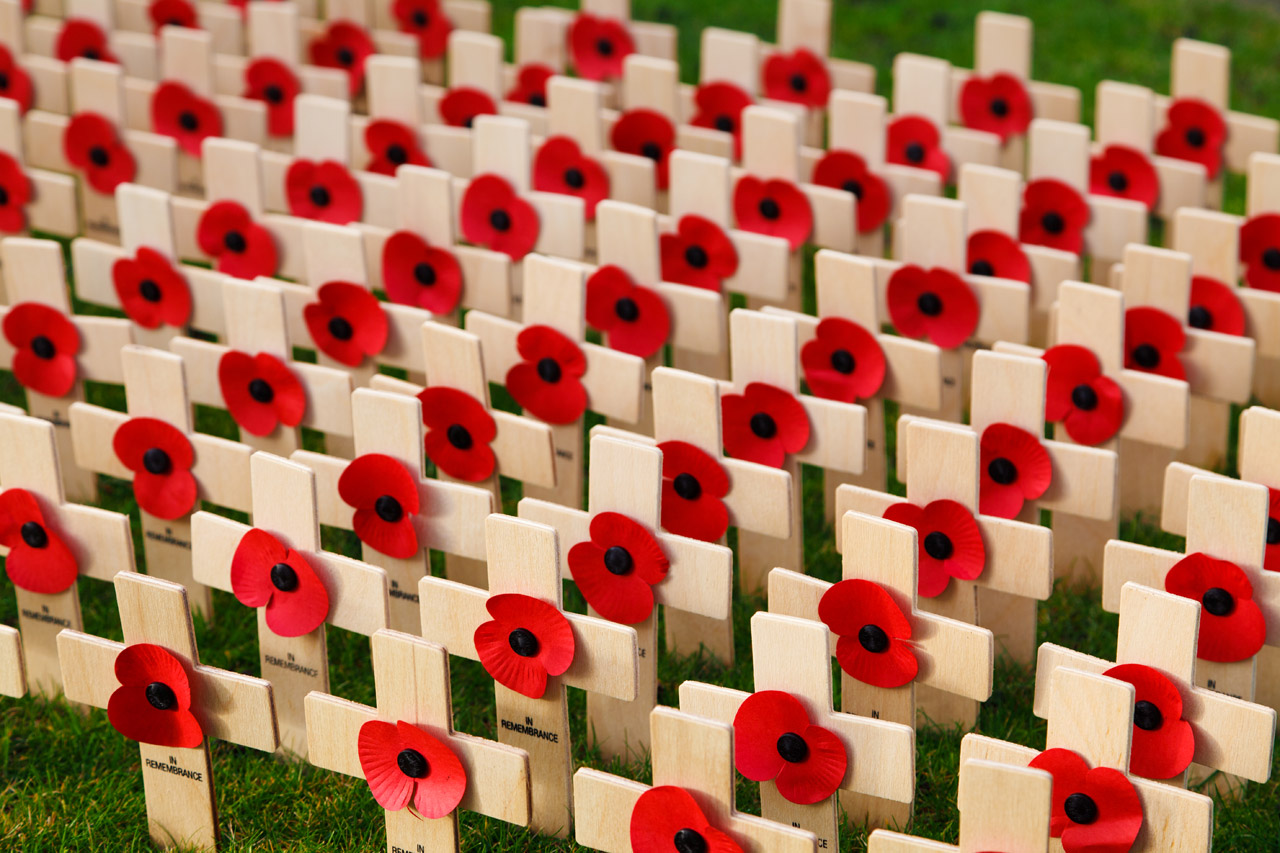 remembrance-day-free-stock-photo-public-domain-pictures