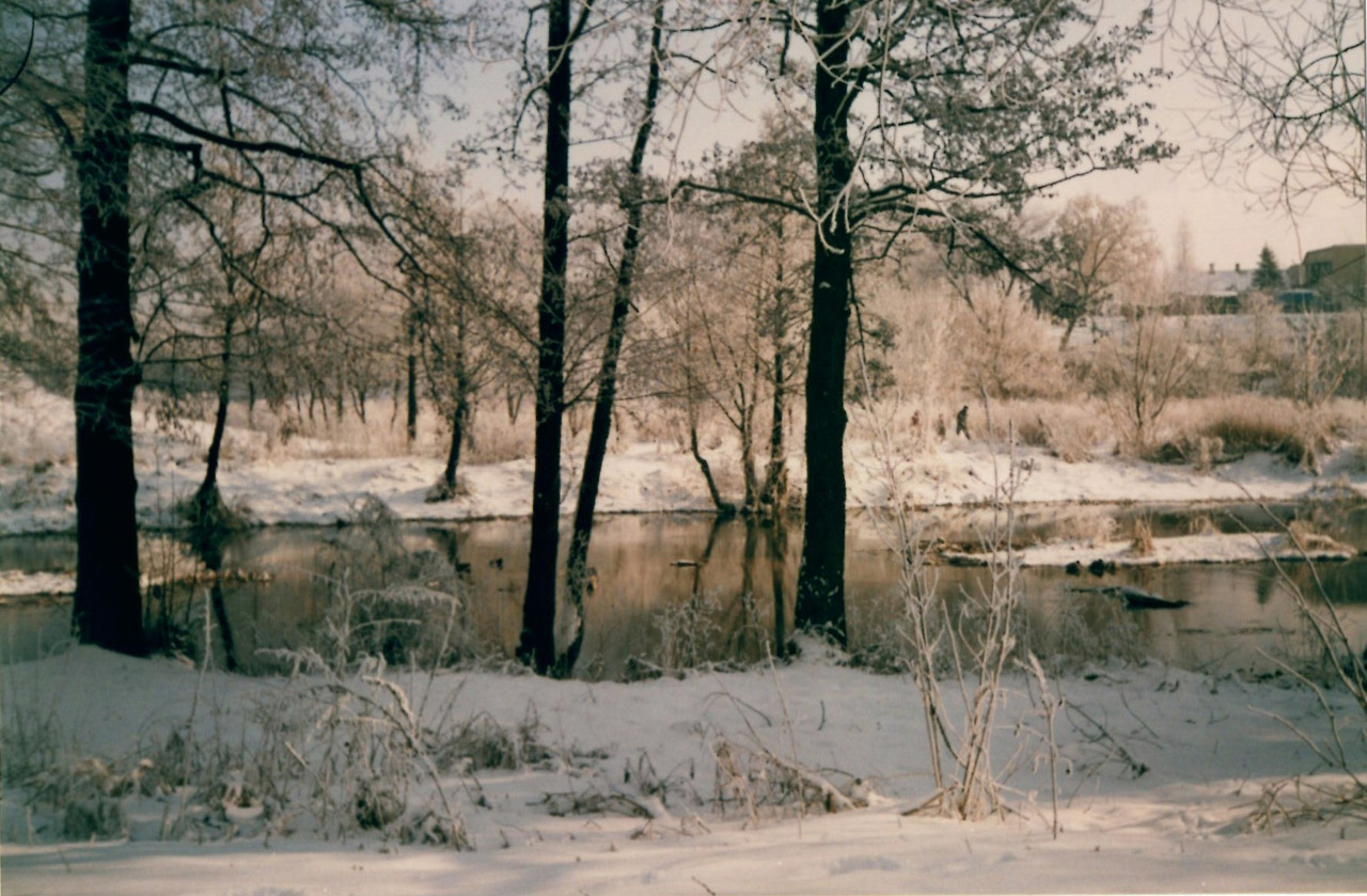 2004年冬季