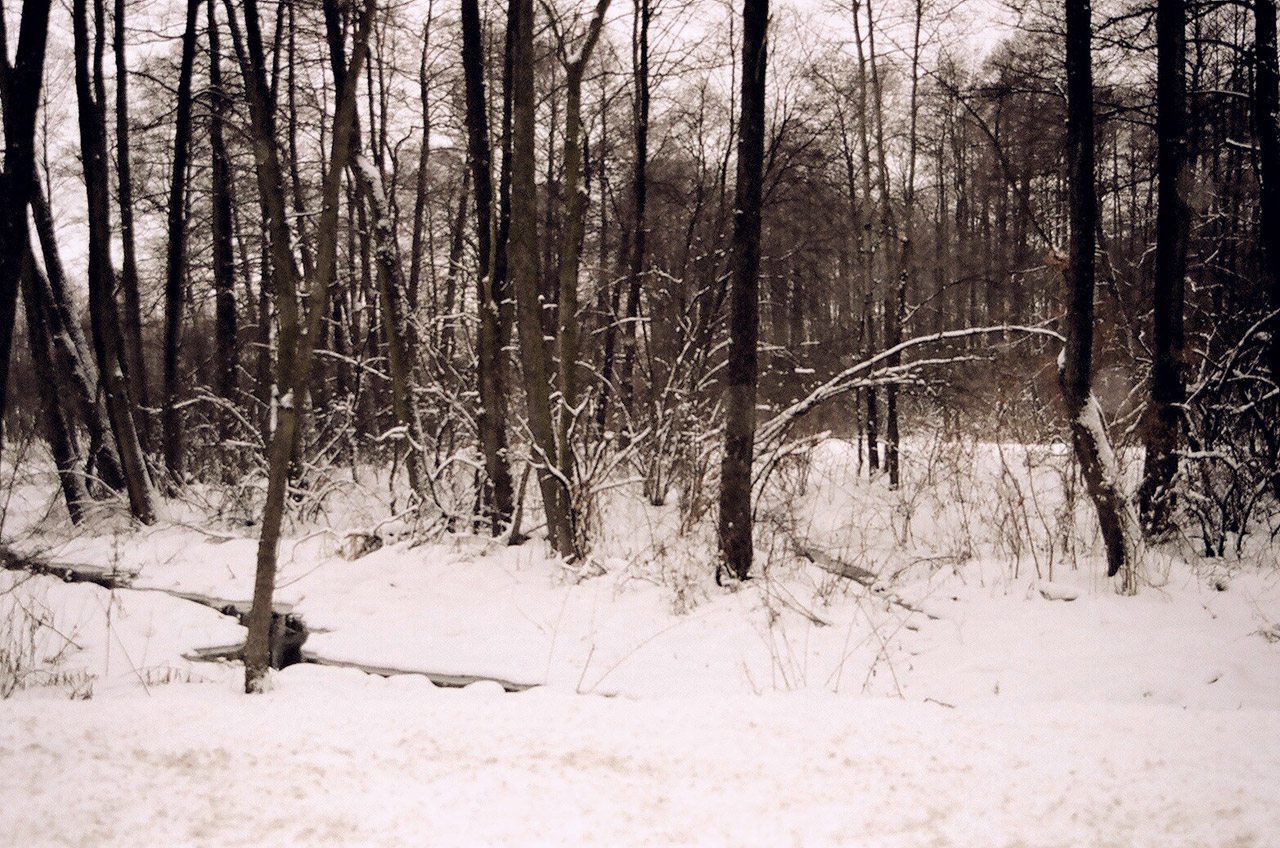 Winterbild in der Nähe von Lublin
