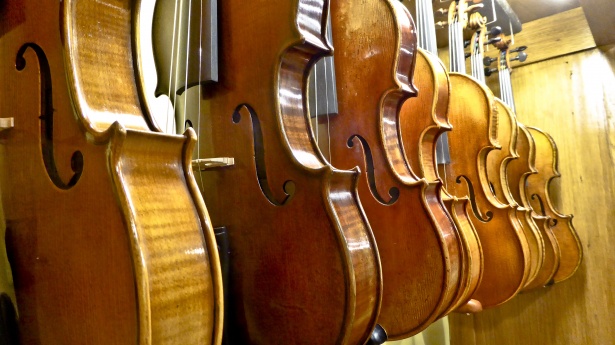Cellos For Sale Free Stock Photo - Public Domain Pictures