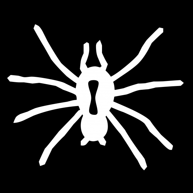 белый паук Бесплатная фотография - Public Domain Pictures