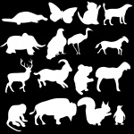 16 animals