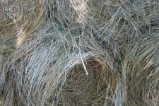 Bales of hay close up