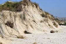 Strand Erosion Küste Florida