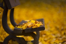 Lavice a podzimní listí