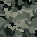 Camouflage (2)