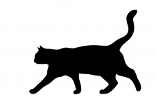 Gato que recorre Negro Silueta