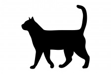 Kočka Chůze černá silueta