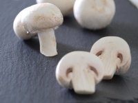 Cogumelos em ardósia