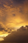 Nuages ​​d'or