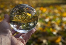 Boule de cristal et d'automne