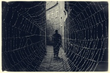 Dark Street And Cobweb