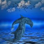 Pár delfin