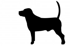 Pes černá silueta