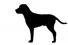 Pes černá silueta