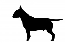Dog, Bull Terrier Black Silhouette