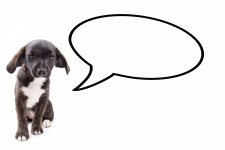 Dog With Speech Bubble
