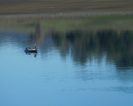 Horgászat Folsom Lake