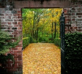 Portão para Autumn Garden