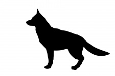 Câine Ciobănesc german siluetă