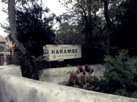 Harambe - Port východní Afriky