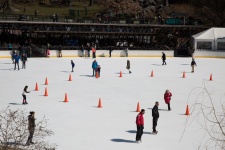 Ice Rink In Central Park