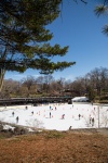 Pista de hielo en Central Park