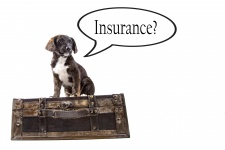 Assicurazione Sfondo con il cane