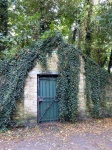 Ivy And Brick Structure