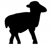 Cordeiro, carneiros preto da silhueta
