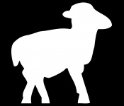 Lamb, Sheep White Silhouette